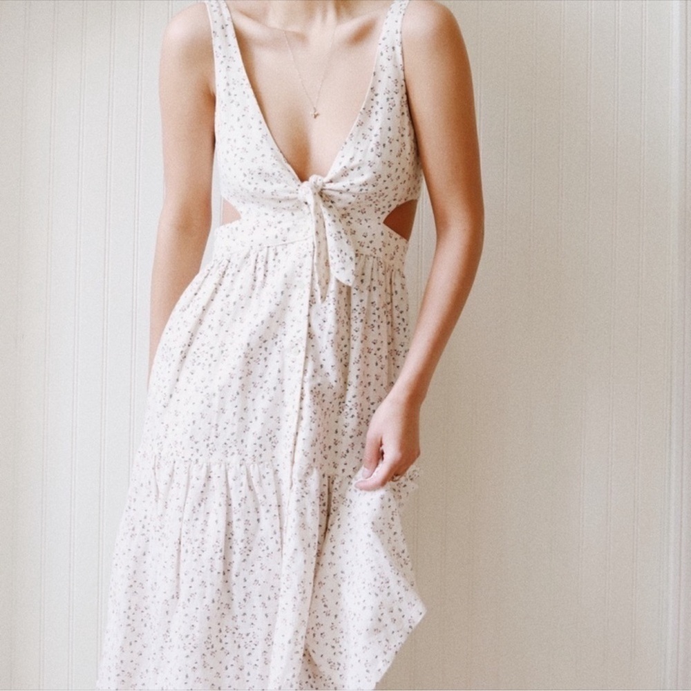 Anthropologie McGuire Palizzi Rose Garden dress - Picture 6 of 11
